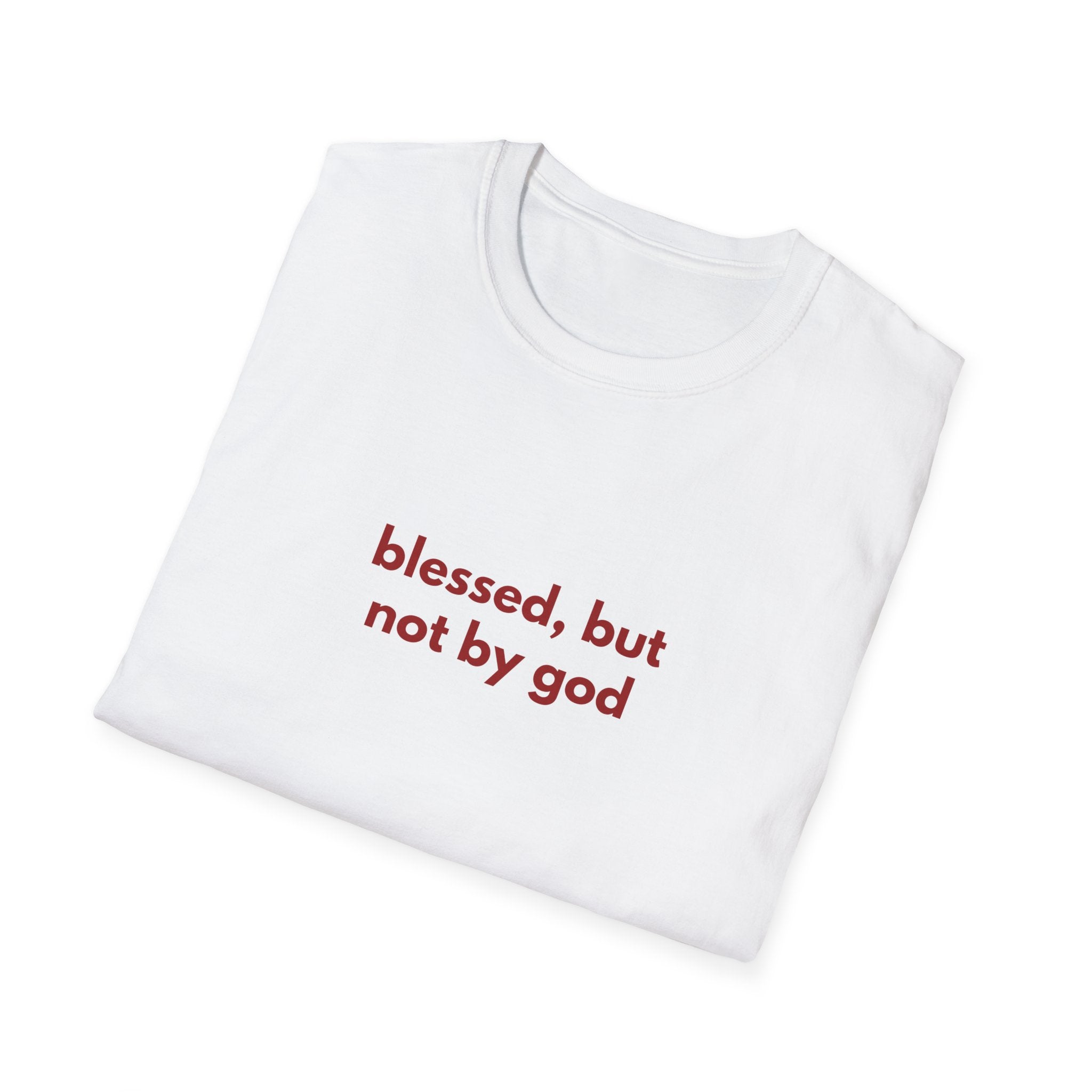 Divinely Disrespectful Tee