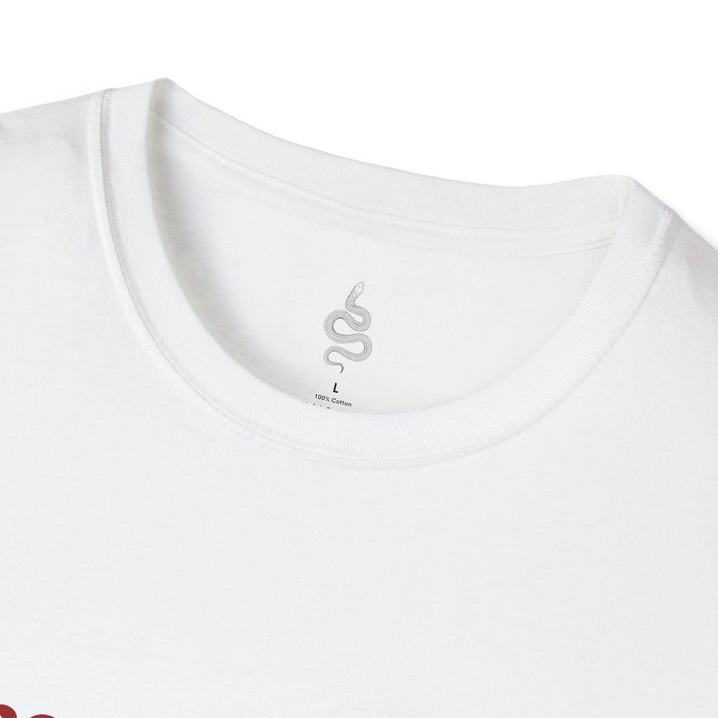 Mercury’s Favorite Mess